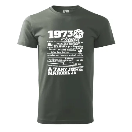 1973 v kostce