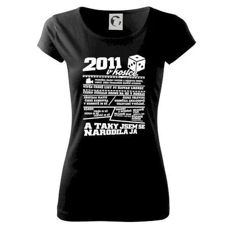 2011 v kostce