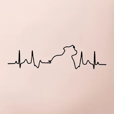 Stafordšírsky bulteriér EKG