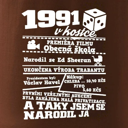 1991 v kostce