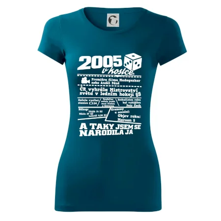 2005 v kostce