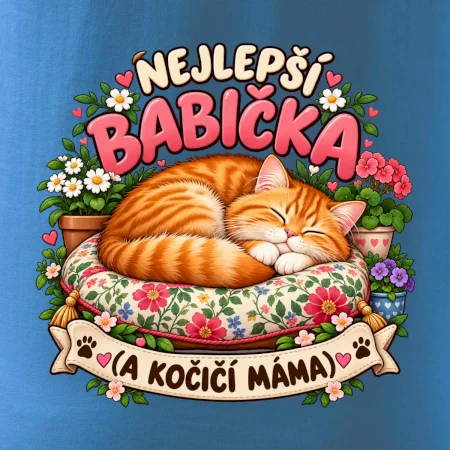 Nejlepší babička a kočičí máma spící zrzavý kocour