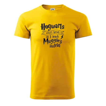 Harry - Hogwarts wasn’t hiring, so I teach Muggles instead