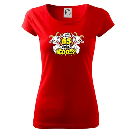 Těmhle holkám je 65, čučíš co?