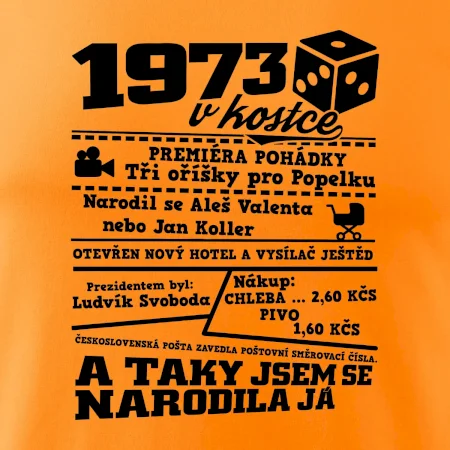 1973 v kostce