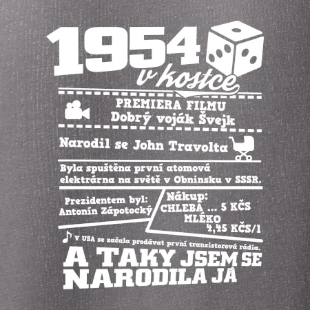 1954 v kostce