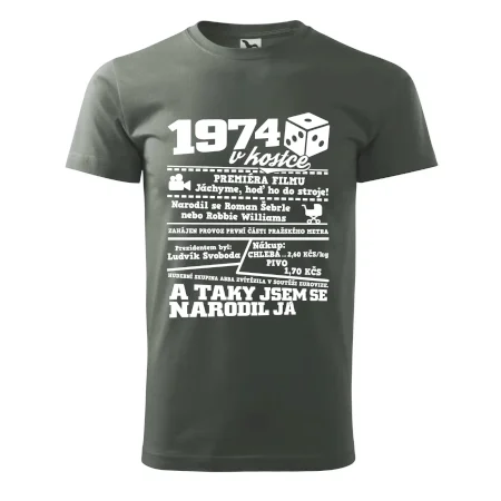 1974 v kostce
