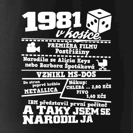 1981 v kostce