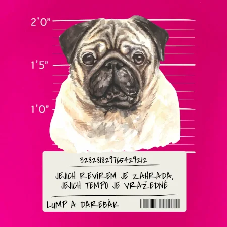 Lump a darebák mopsík