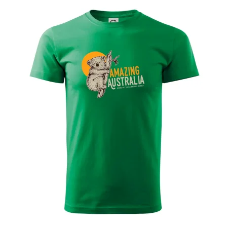 Amazing Australia koala