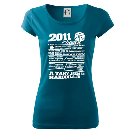 2011 v kostce