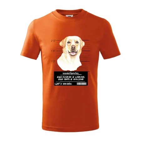 Lump a darebák labrador