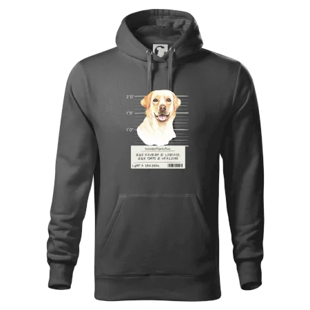 Lump a darebák labrador