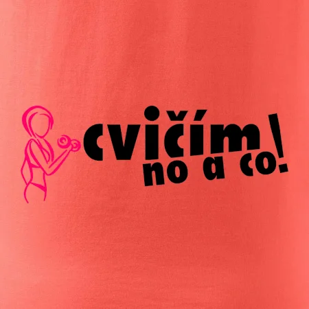 Cvičím no a co!