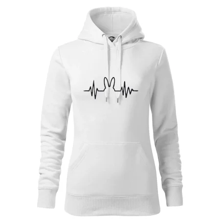 EKG zajíc
