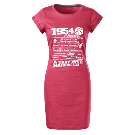 1954 v kostce