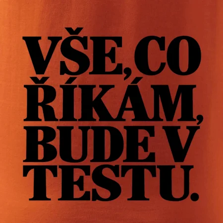 Vše co říkám bude v testu