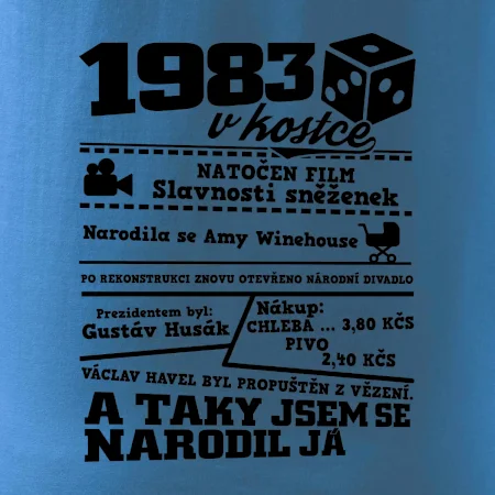 1983 v kostce