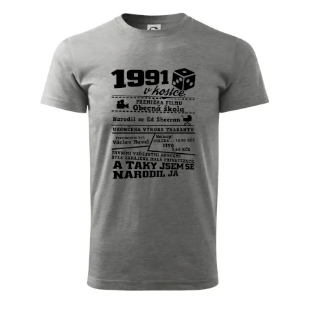 1991 v kostce