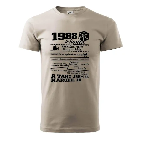 1988 v kostce