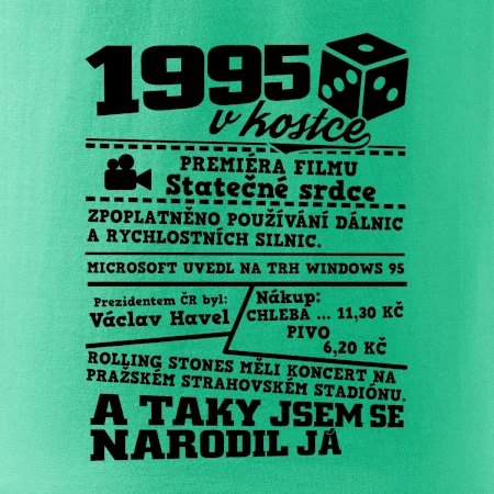 1995 v kostce