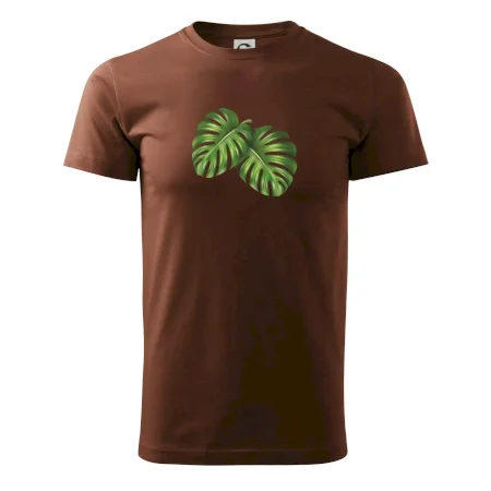 Monstera - dva listy