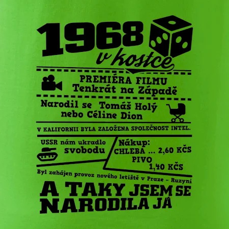 1968 v kostce