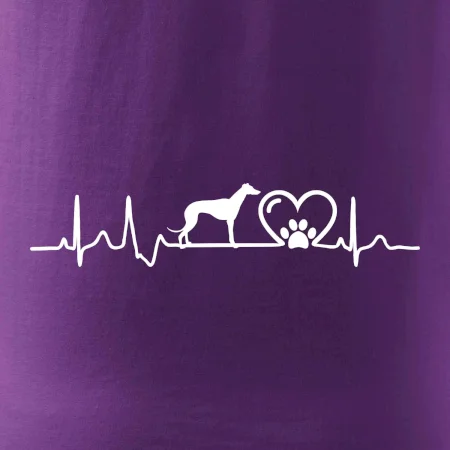 Chrt - Ekg