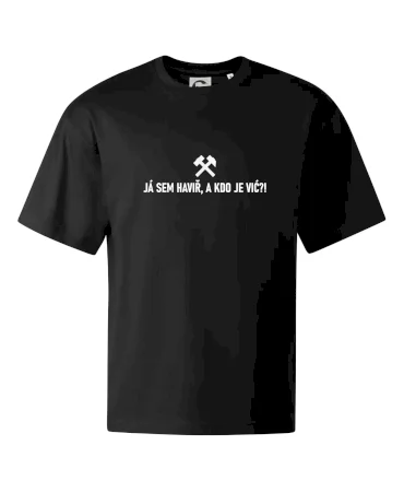 JÁ SEM HAVIŘ, A KDO JE VIĆ?!﻿