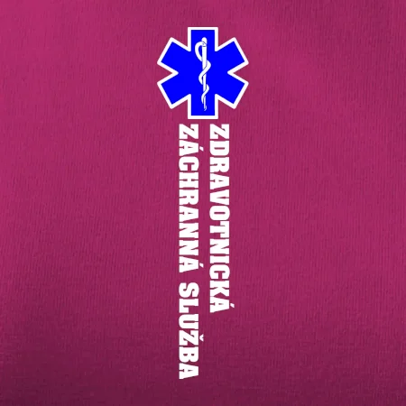 Hvězda života - zdravotnická záchranná služba