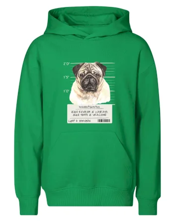 Lump a darebák mopsík