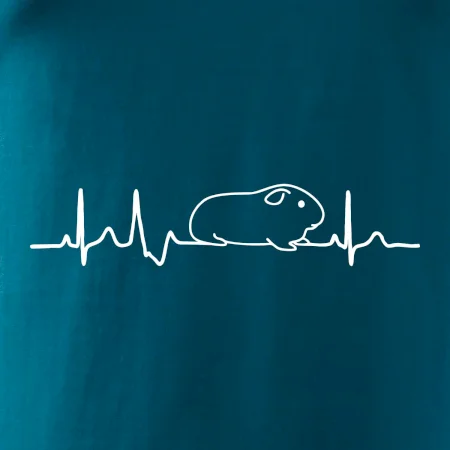 EKG morče