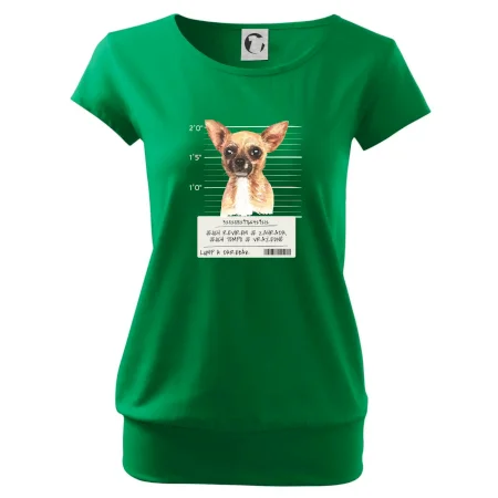 Lump a darebák čivava