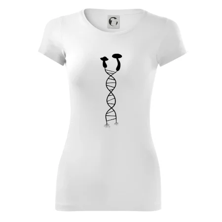 DNA houby