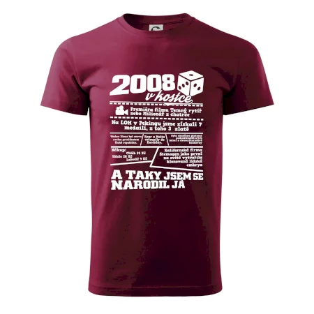 2008 v kostce
