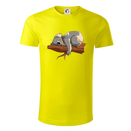 Koala na větvi