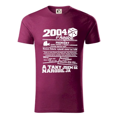 2004 v kostce
