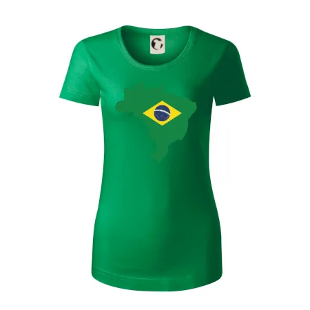 Brazílie vlajka v mapě