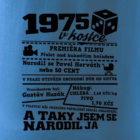 1975 v kostce