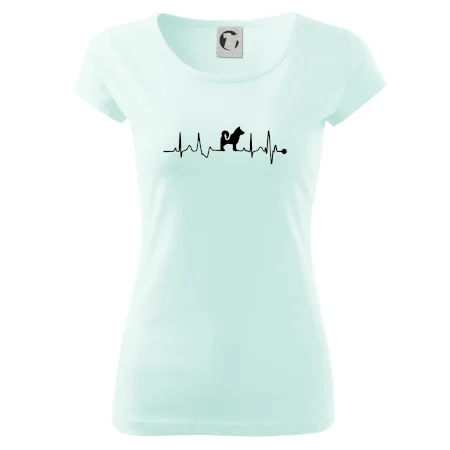 Shiba-Inu EKG