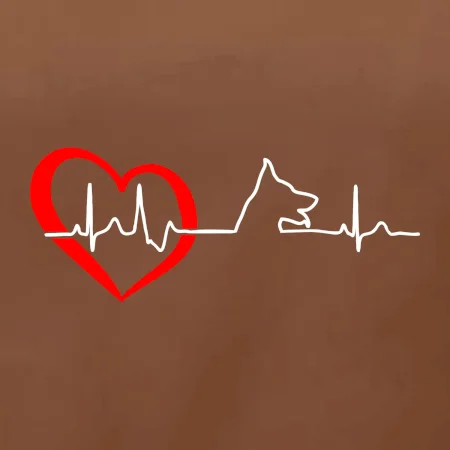 Německý ovčák ekg