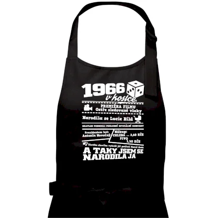 1966 v kostce