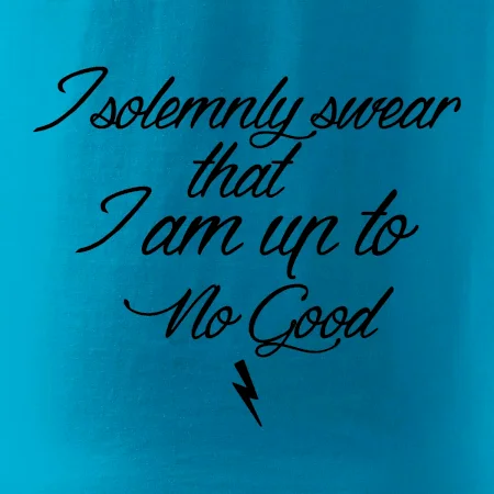 I solemnly swear that I'm up to no good