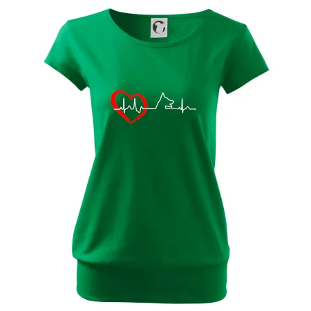 Německý ovčák ekg