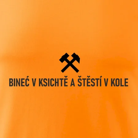 BINEĆ V KSICHTĚ A ŠTĚSTÍ V KOLE﻿