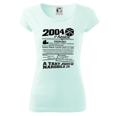 2004 v kostce