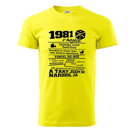 1981 v kostce
