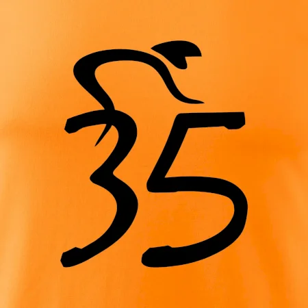 Cyklista slaví pětatřicítku (35)