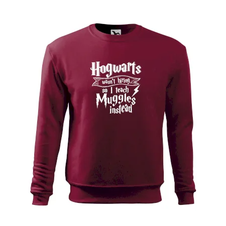 Harry - Hogwarts wasn’t hiring, so I teach Muggles instead