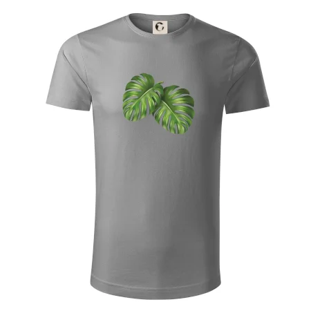 Monstera - dva listy